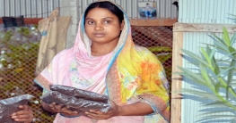 টাঙ্গাইলে জৈব সার উৎপাদনে সফল নারী হালিমা